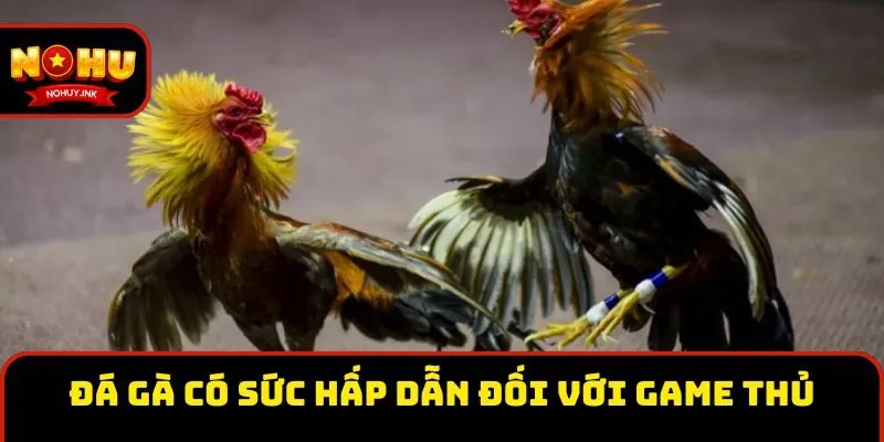 Đá gà có sức hấp dẫn đối với game thủ