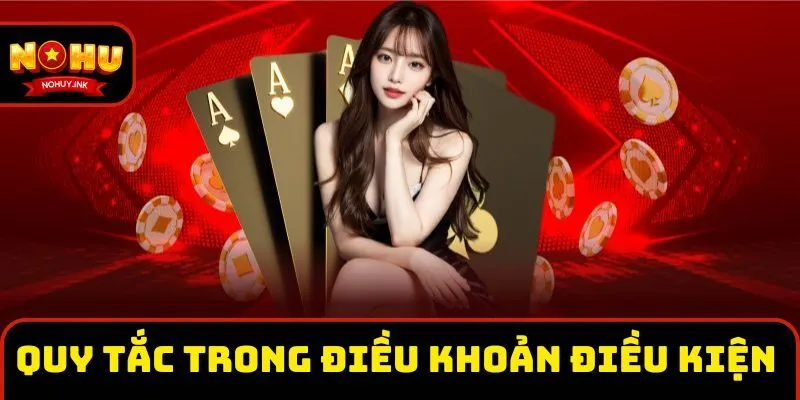 Quy tắc chính trong điều khoản điều kiện Nohu